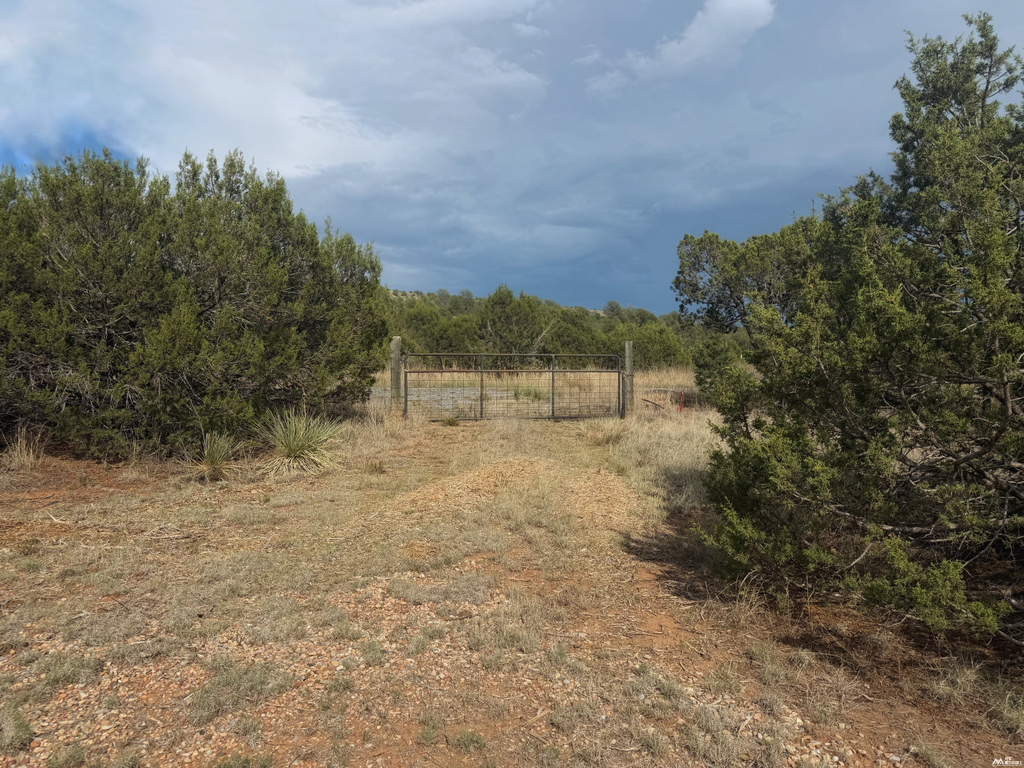 47 Roadrunner Rd photo 27