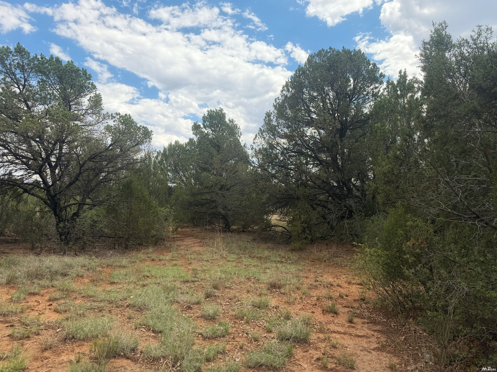 47 Roadrunner Rd photo 26