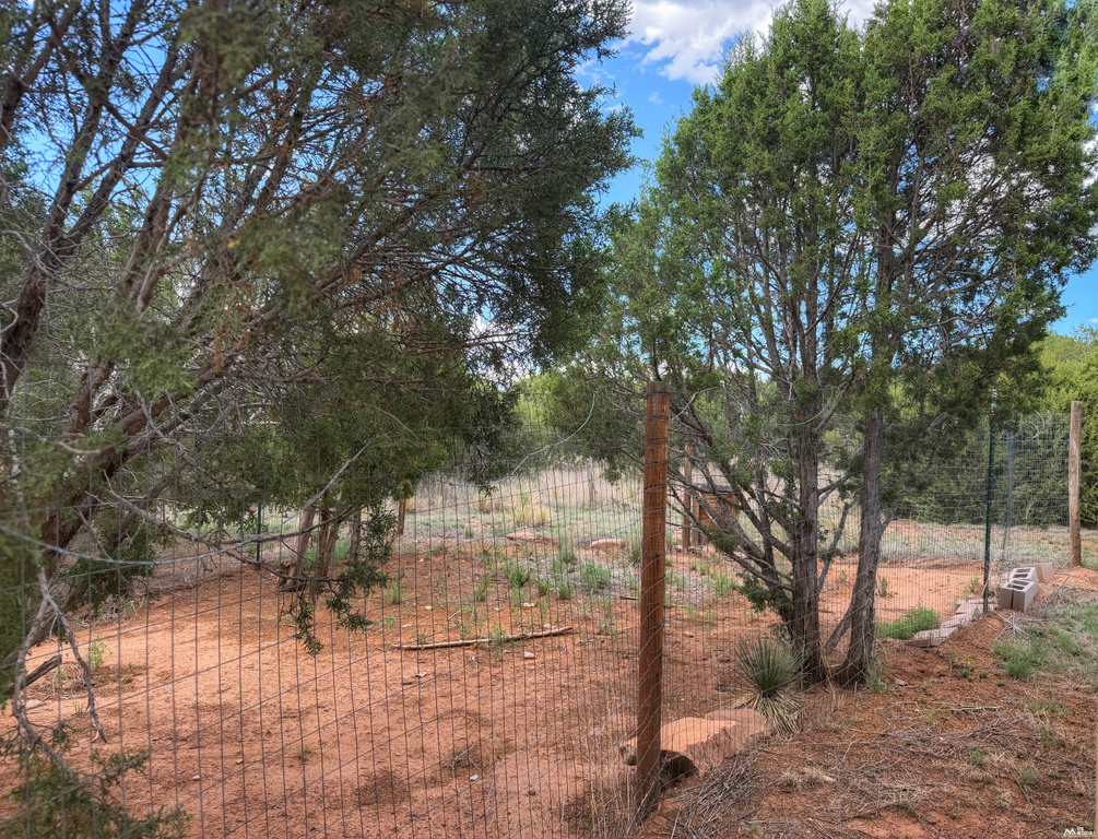 47 Roadrunner Rd photo 24