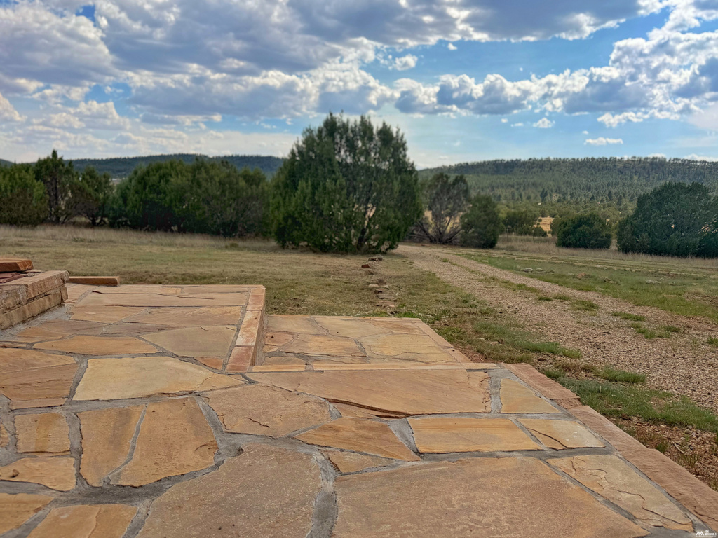 47 Roadrunner Rd photo 21
