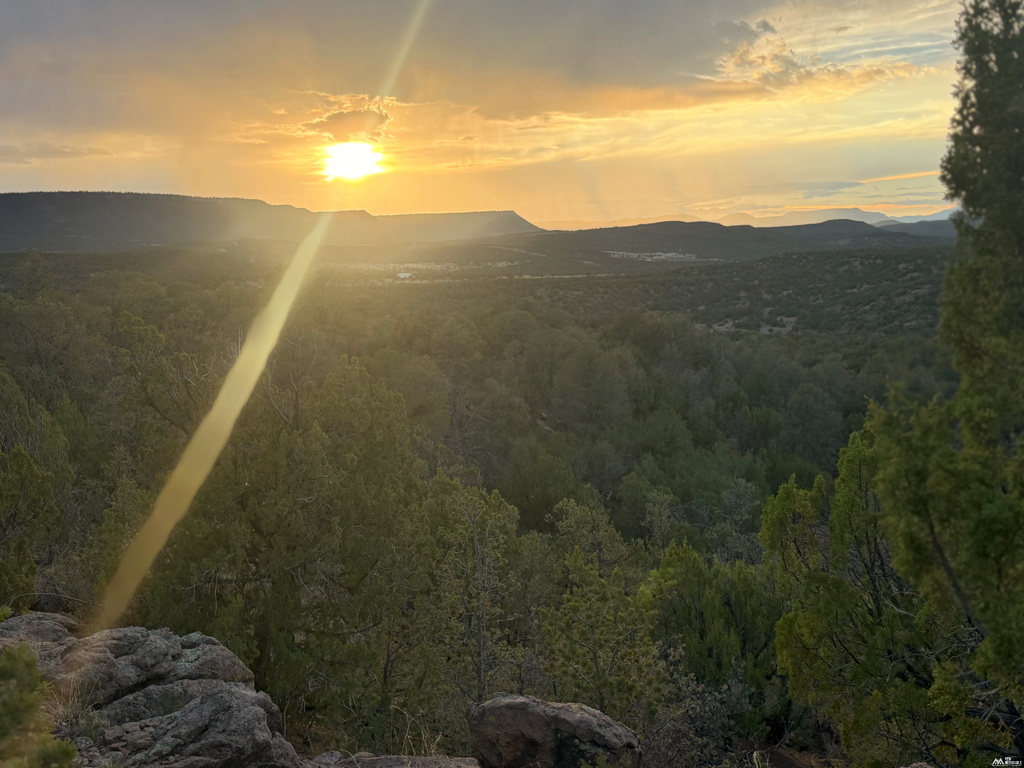19 Rocky Bluffs — 10.04 Acres photo 7