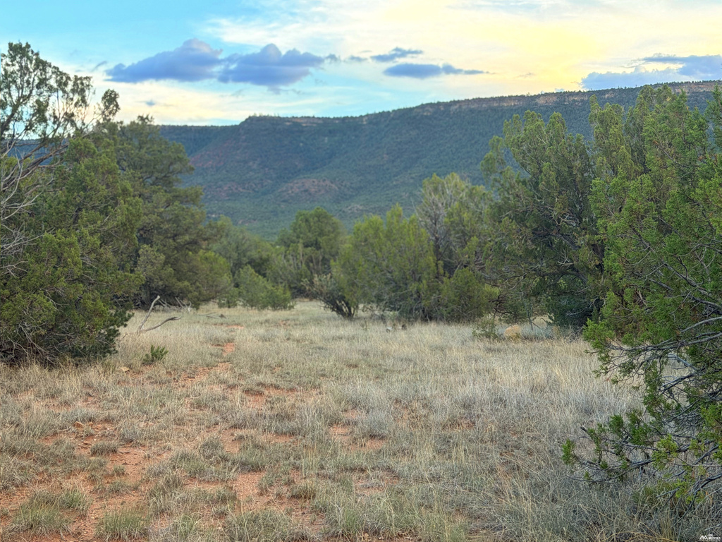 19 Rocky Bluffs — 10.04 Acres photo 2
