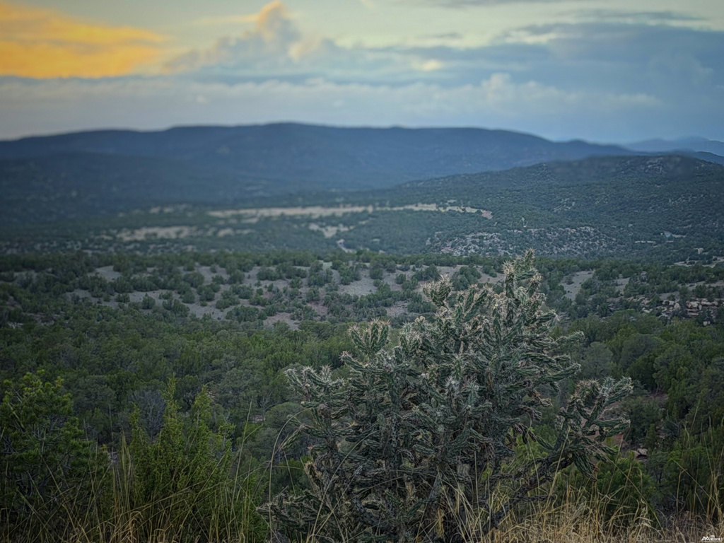 19 Rocky Bluffs — 10.04 Acres photo 10