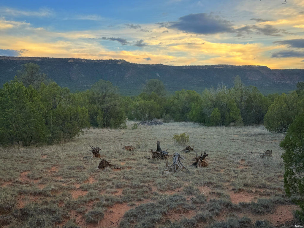 19 Rocky Bluffs — 10.04 Acres photo 8