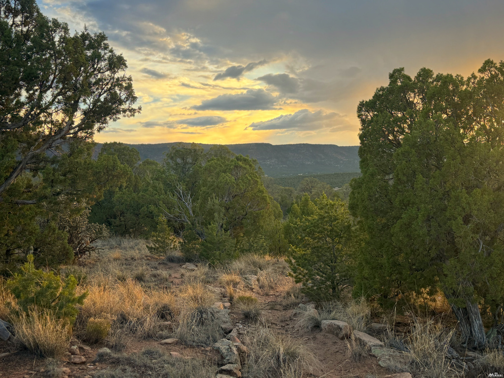 19 Rocky Bluffs — 10.04 Acres photo 6