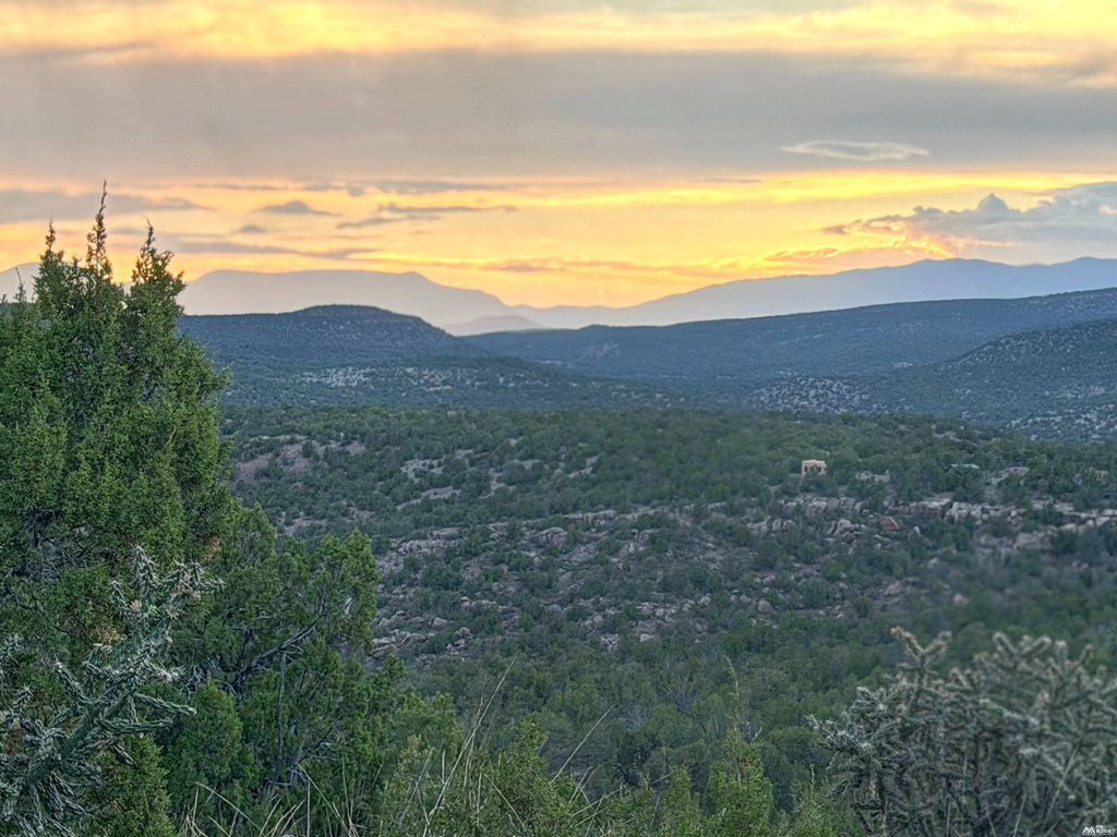 19 Rocky Bluffs — 10.04 Acres photo 11