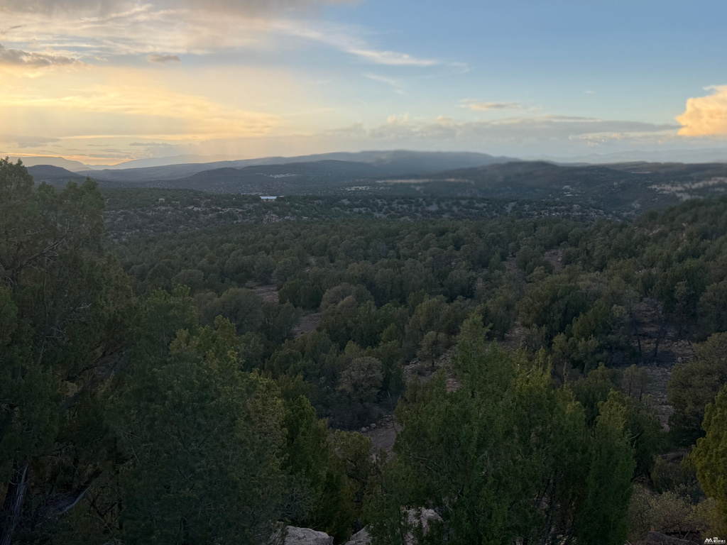19 Rocky Bluffs — 10.04 Acres photo 5