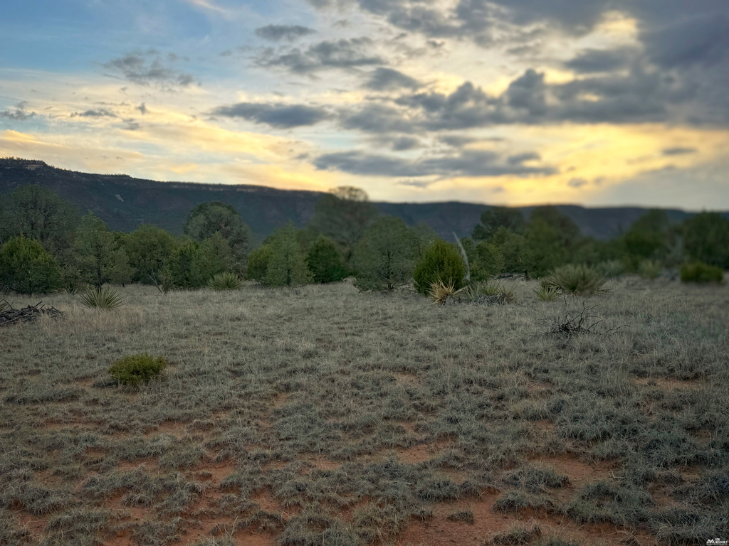 19 Rocky Bluffs — 10.04 Acres photo 12