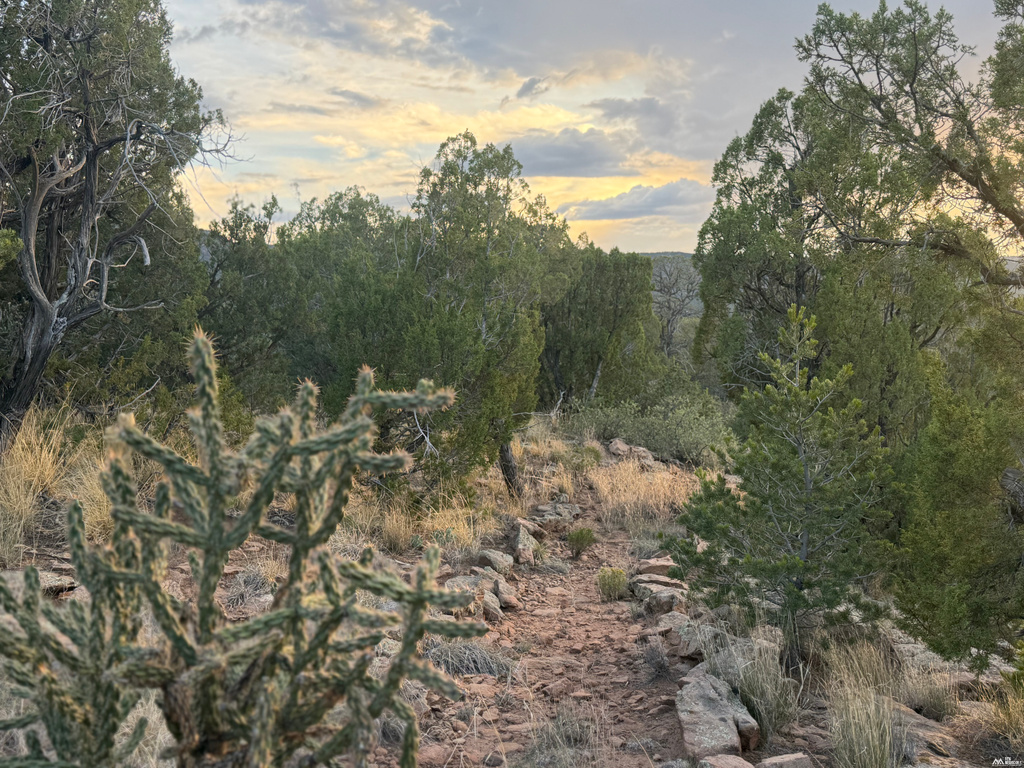 19 Rocky Bluffs — 10.04 Acres photo 3