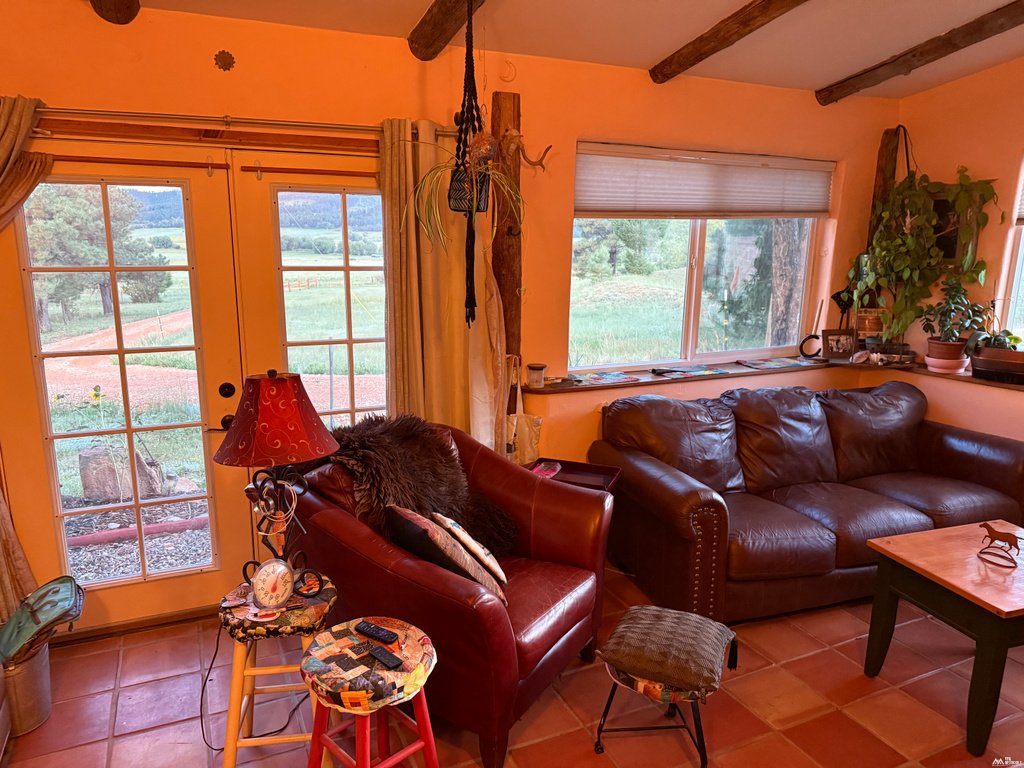 2 bed, 2 bath, 1,572 sq ft, 26.99 acres home on acreage for sale at 97 County Road A010, Mora, NM — photo 9 of 24