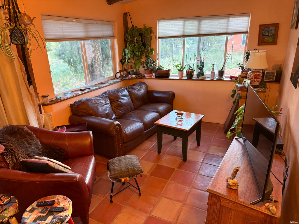 2 bed, 2 bath, 1,572 sq ft, 26.99 acres home on acreage for sale at 97 County Road A010, Mora, NM — photo 10 of 24