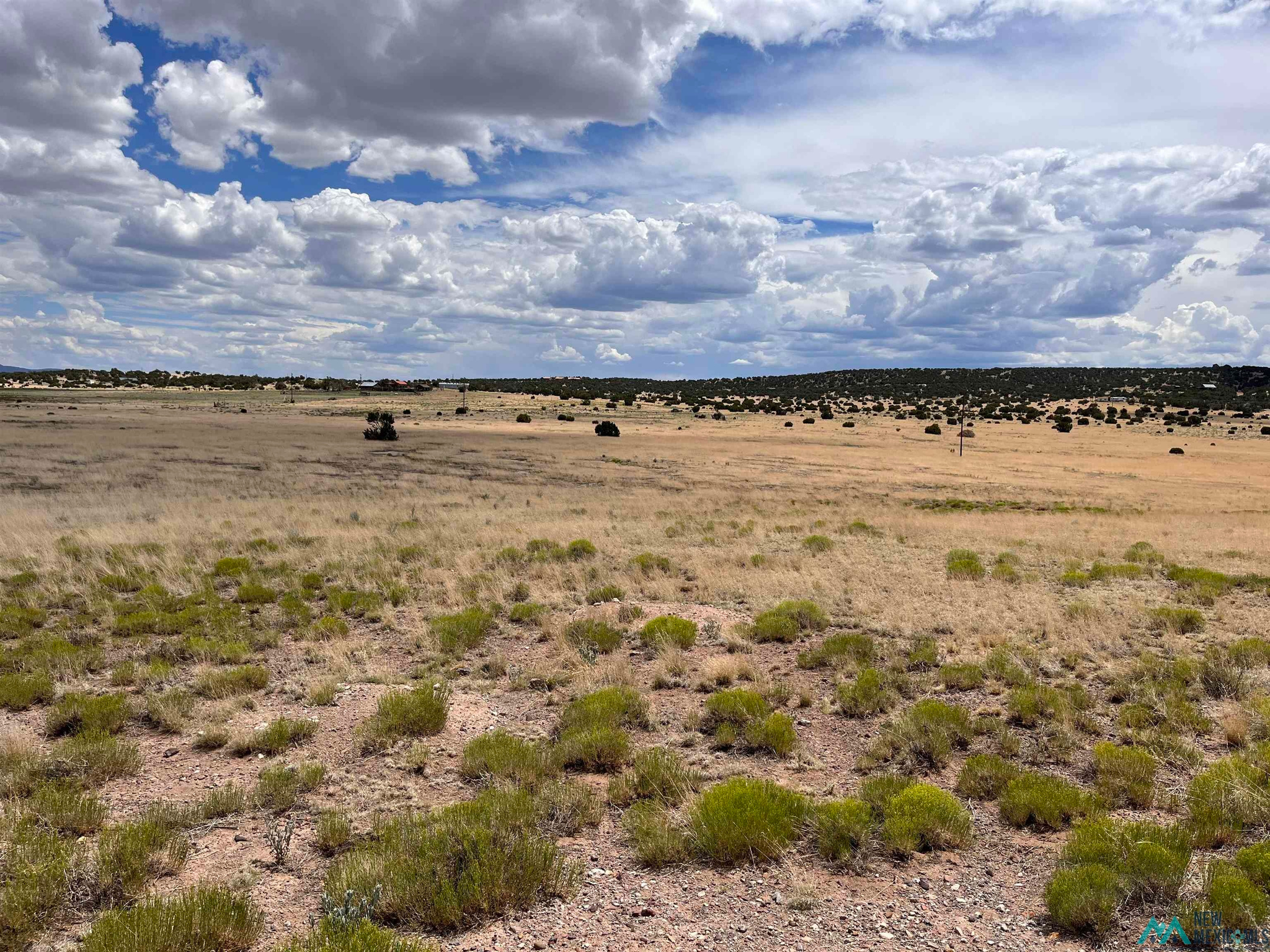 Catron County Properties