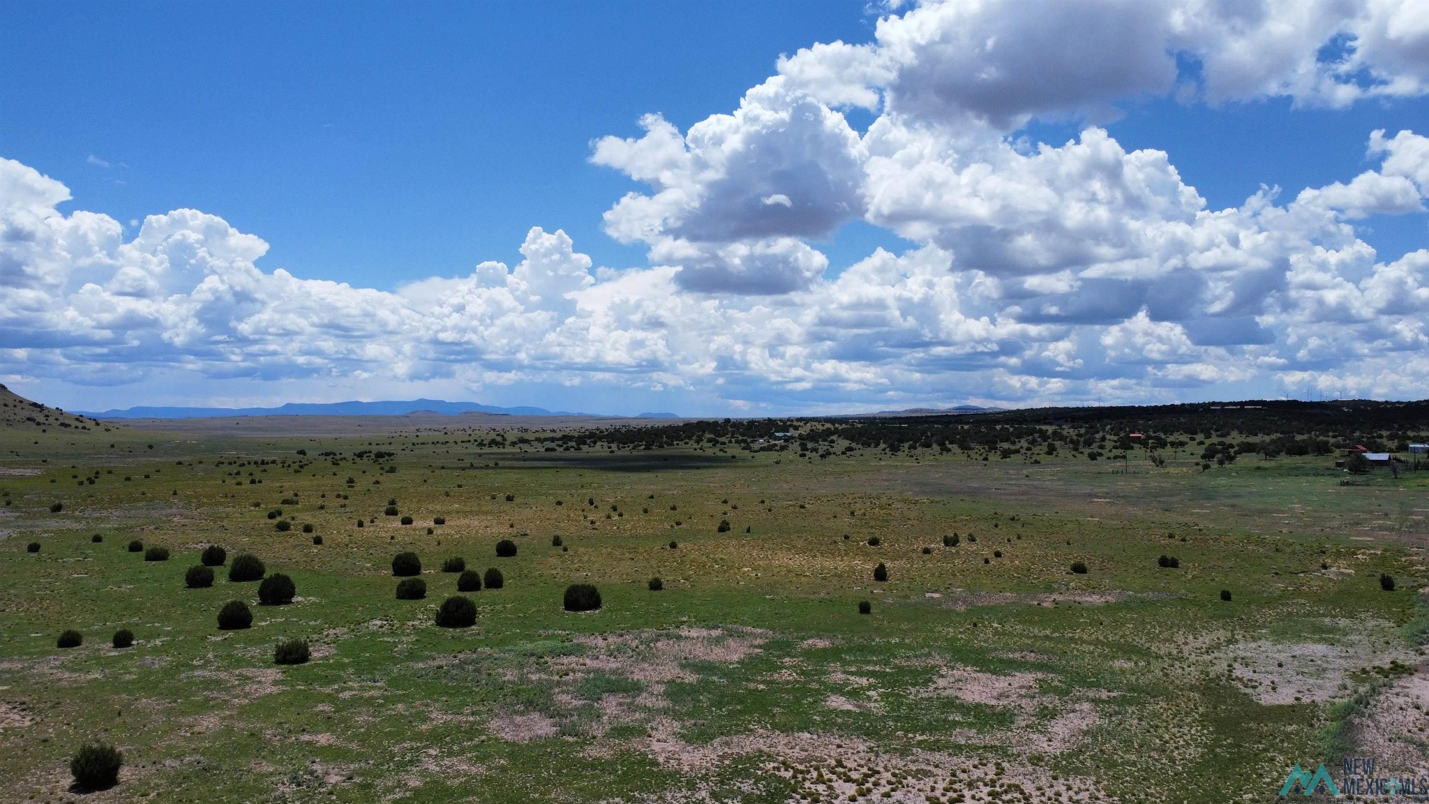 Catron County Properties