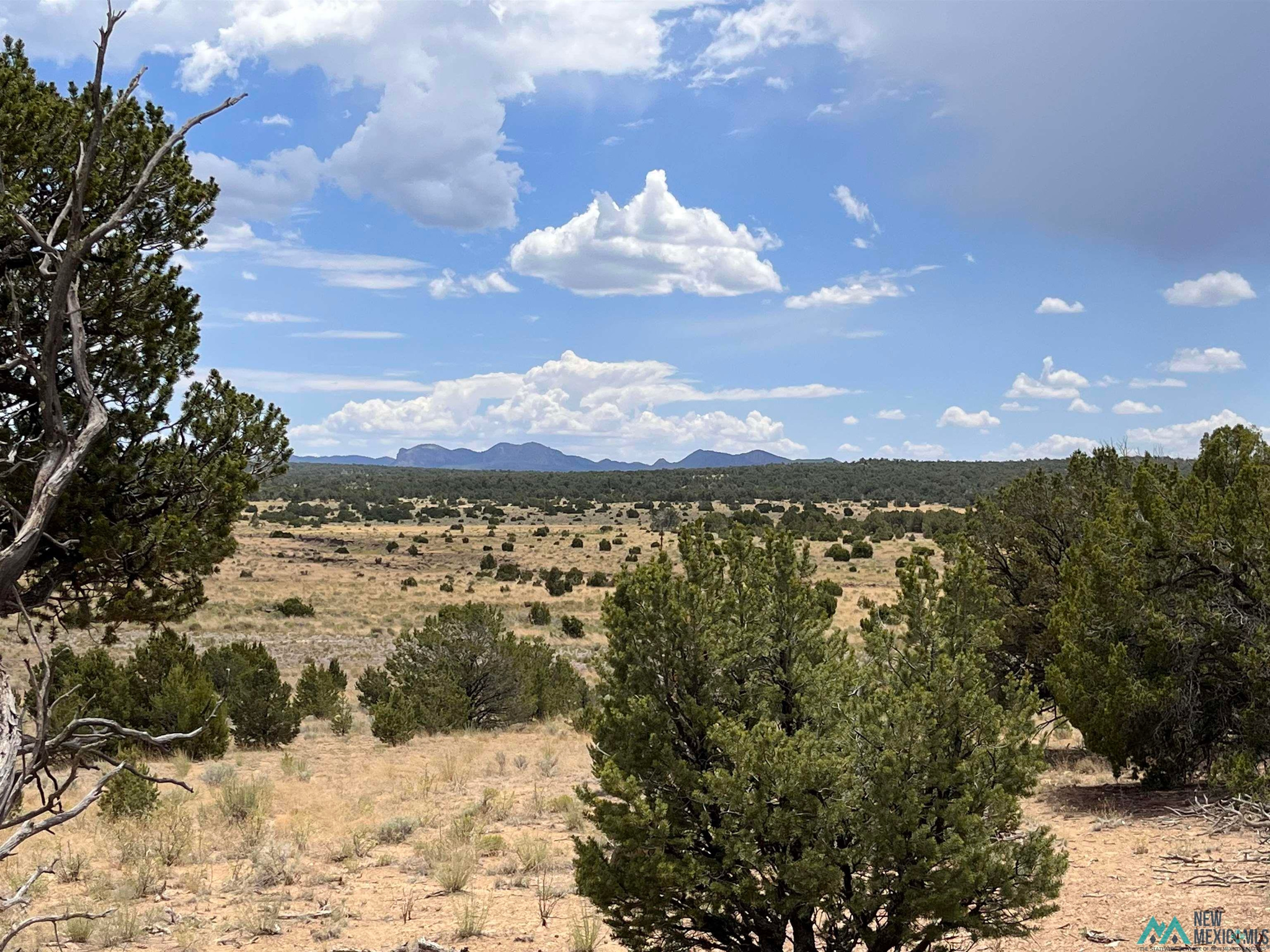 Catron County Properties