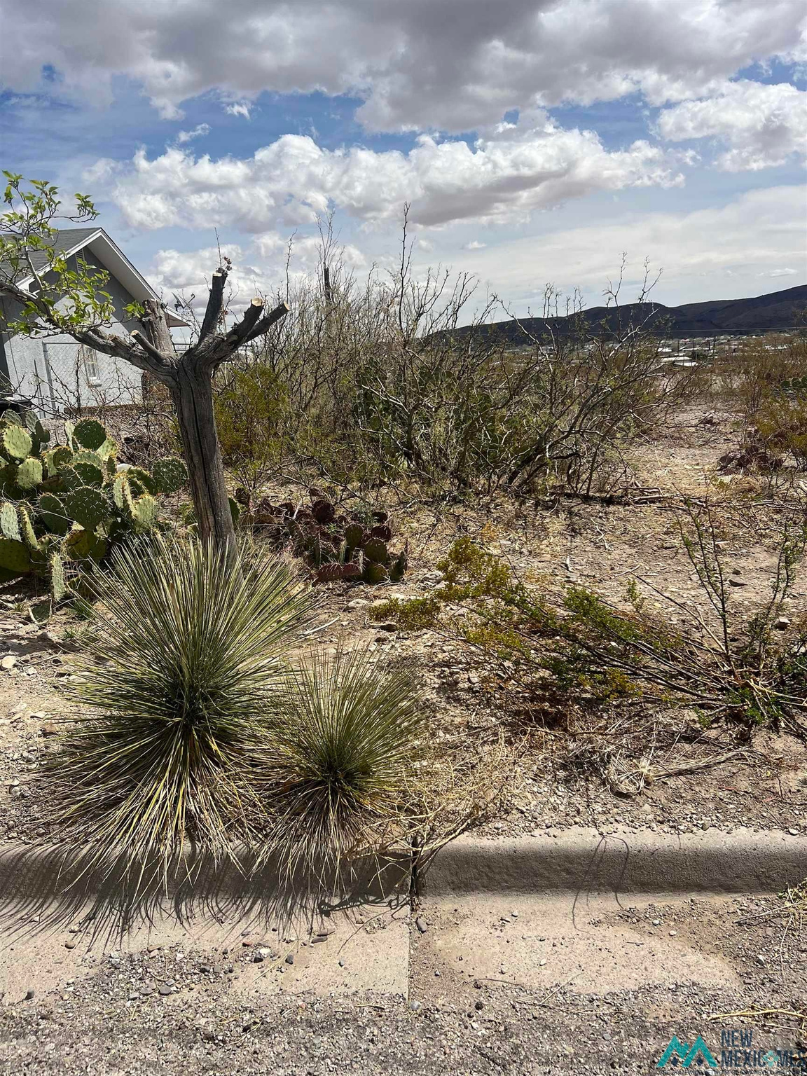 907 Grape St, Truth or Consequences, NM 87901