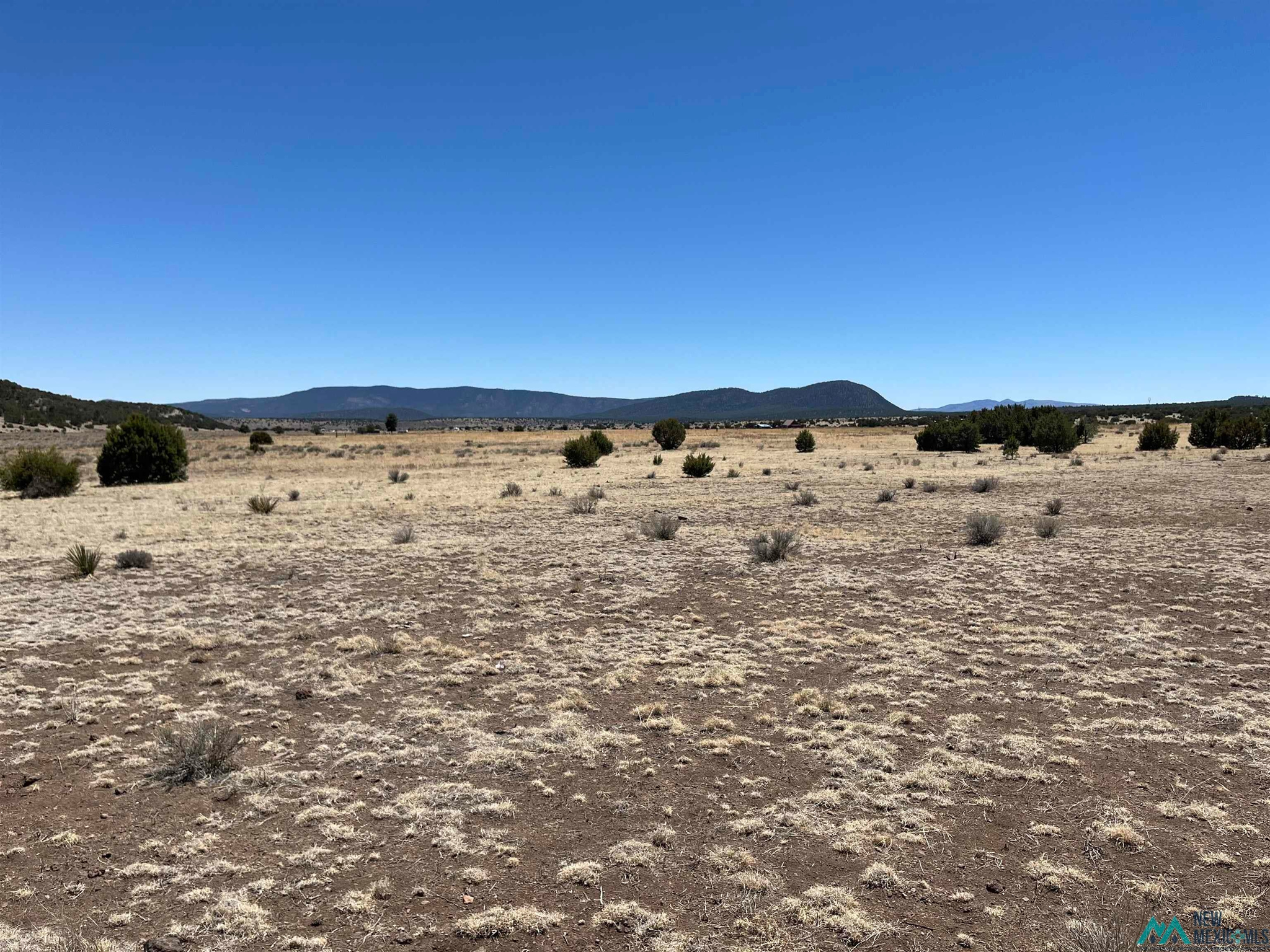 Catron County Properties