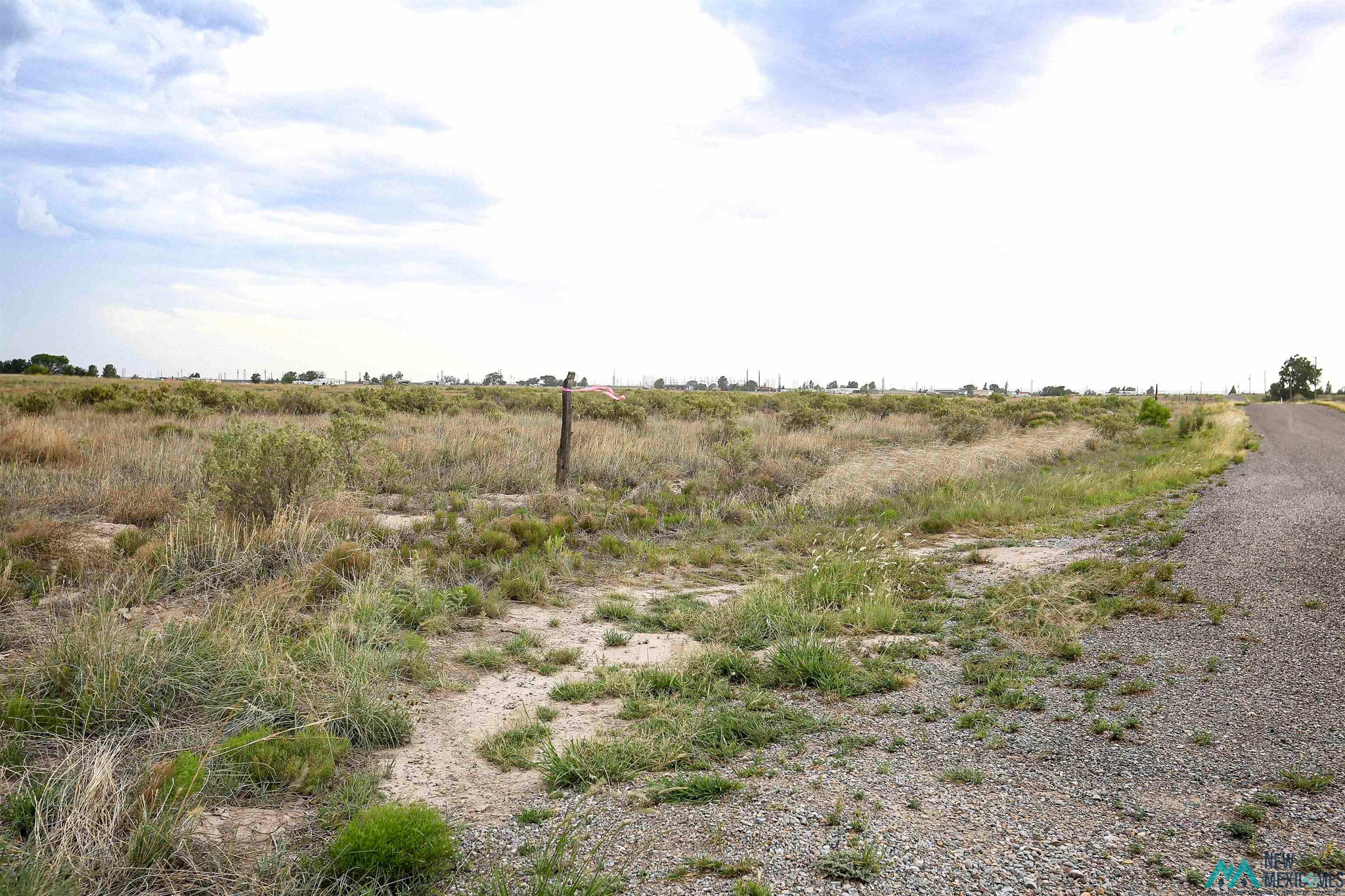 00 Sandhill Avenue — photo 3
