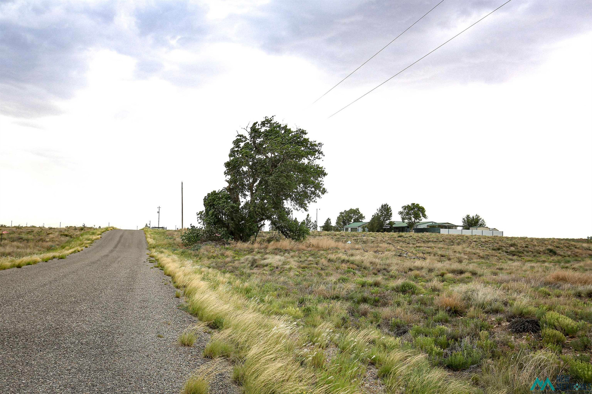 00 Sandhill Avenue — photo 2