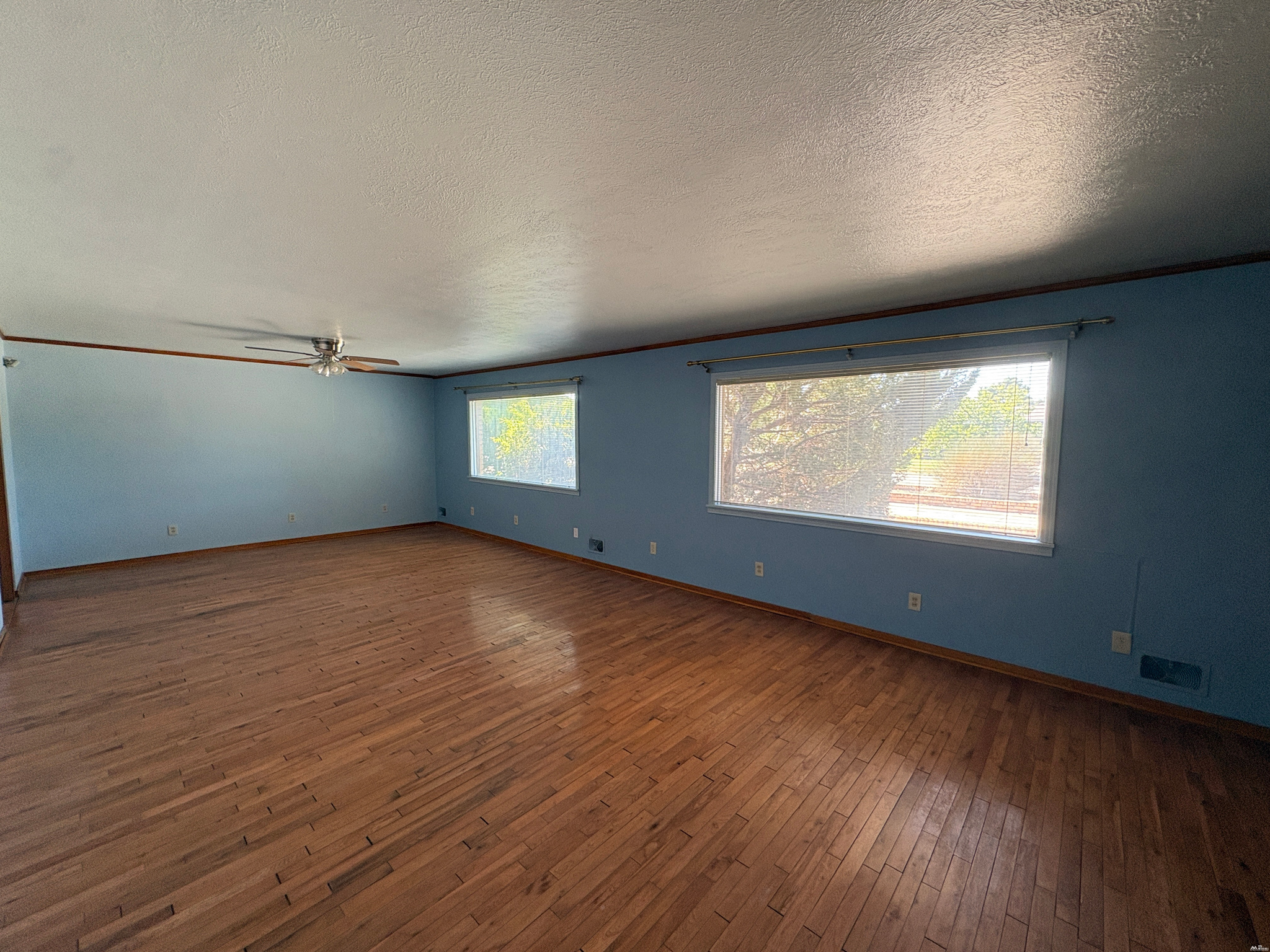 501 LINDA Dr — photo 4