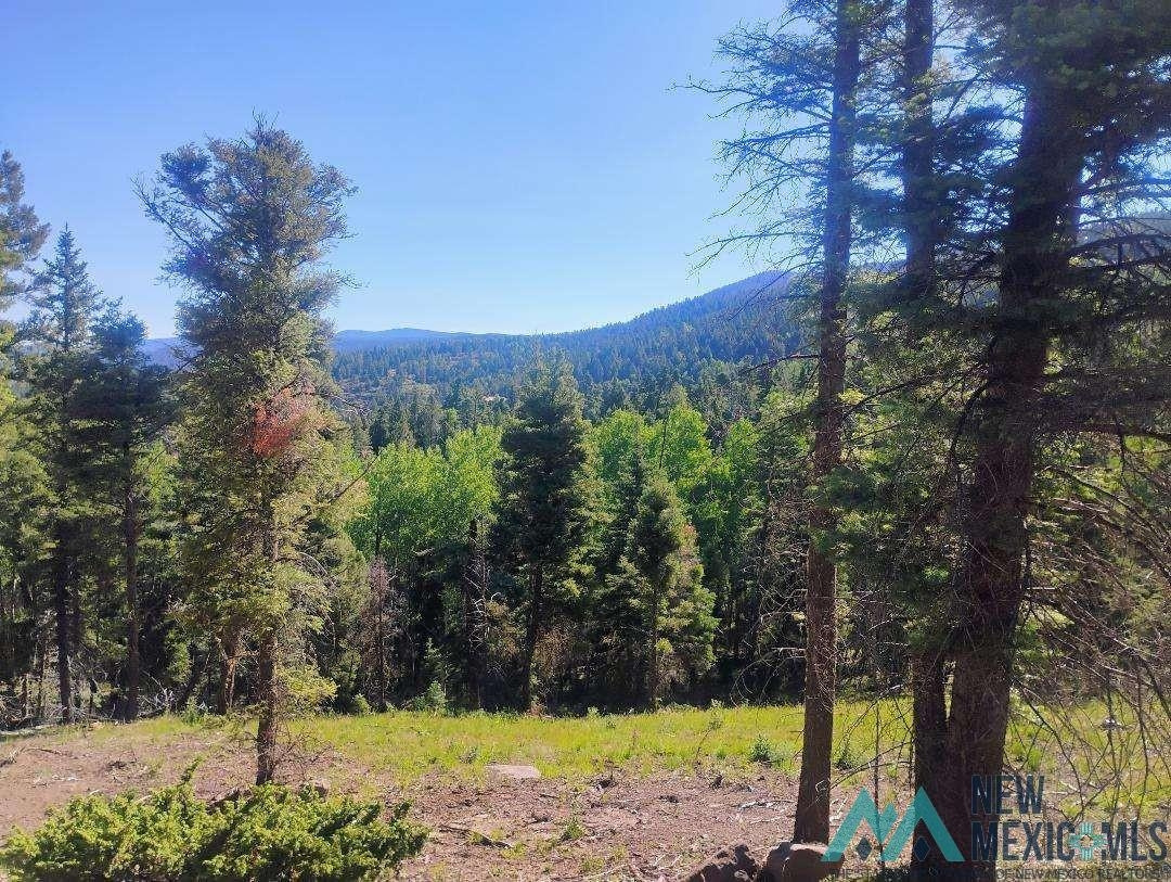 ANGEL FIRE REAL ESTATE ANGEL FIRE REAL ESTATE