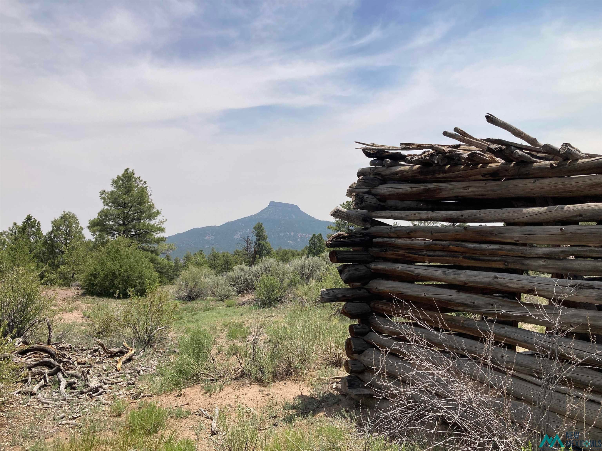 Youngsville NM Real Estate