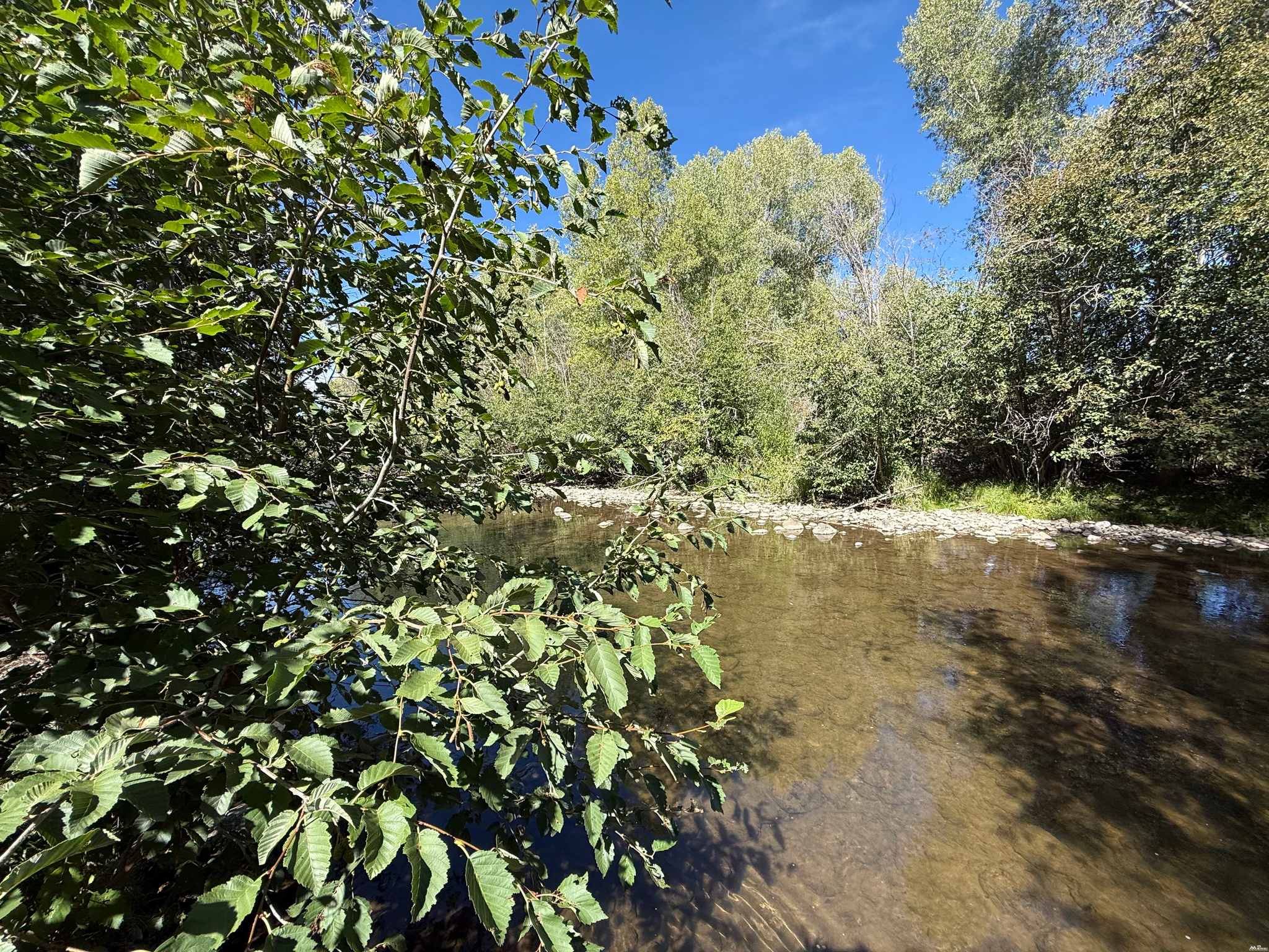 0 — photo 2