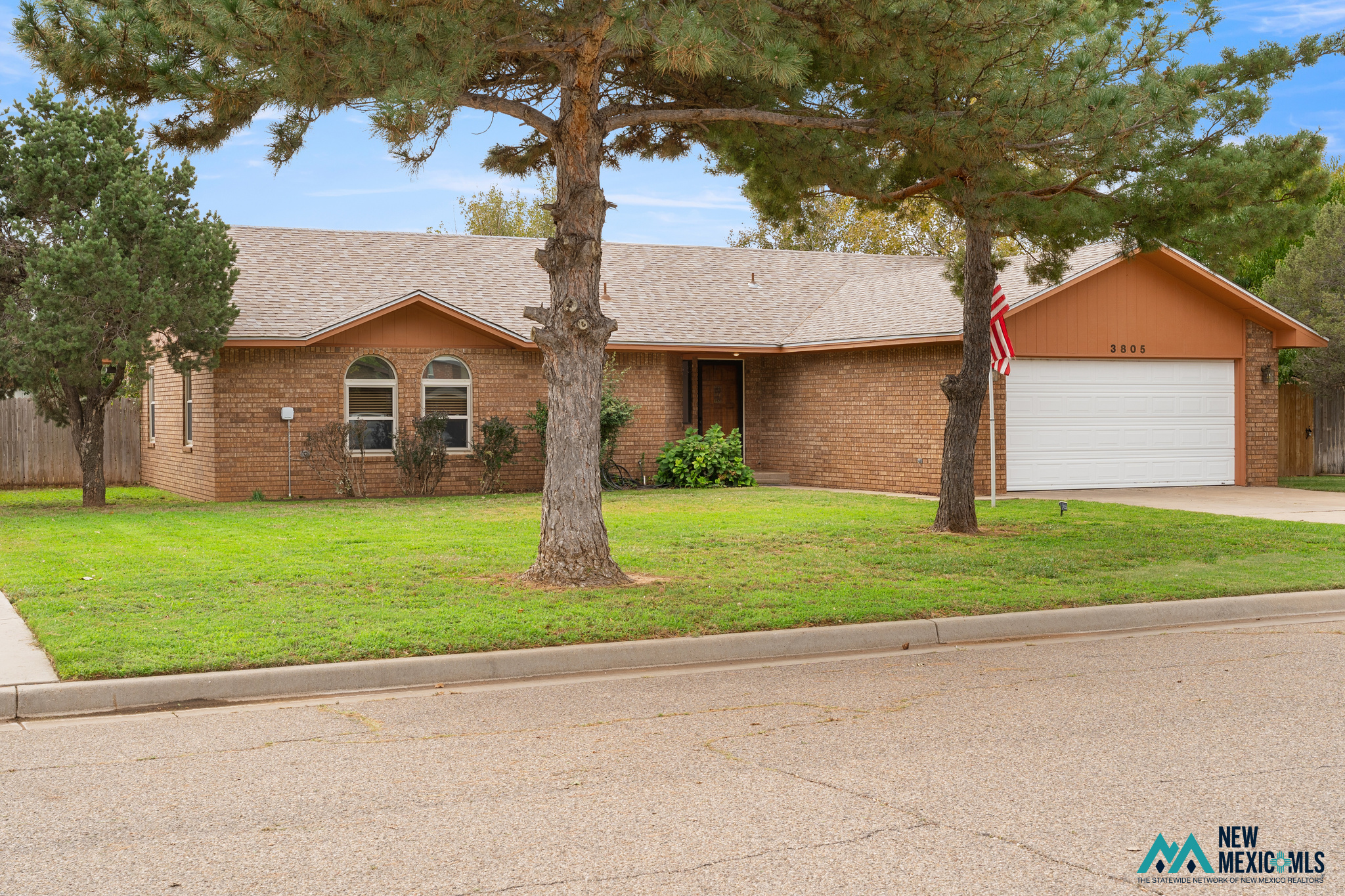 3805 Don January — photo 3