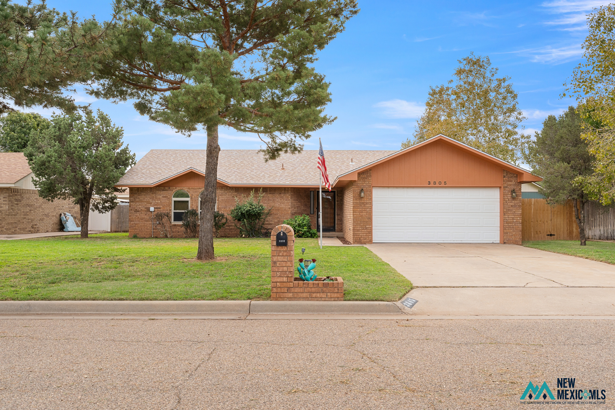3805 Don January