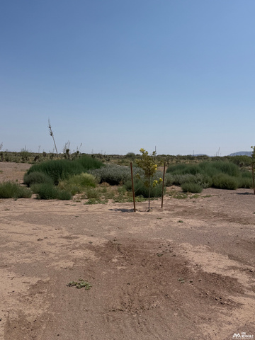 MLS# 26000601 Photo